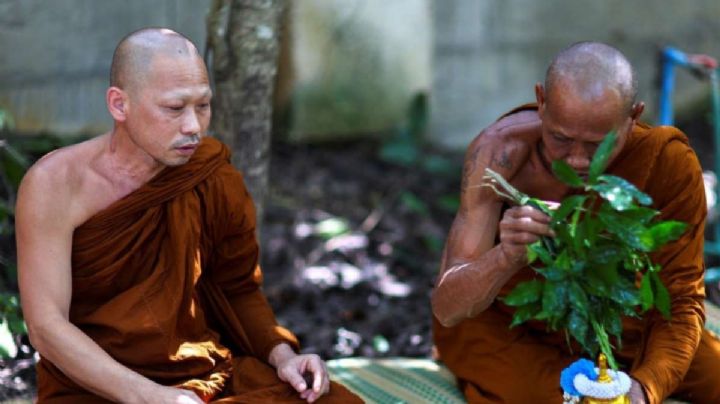 Estos MONJES BUDISTAS dieron positivo en METANFETAMINA