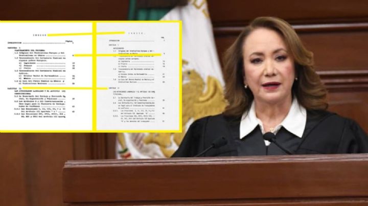 Plagios de tesis; otra alumna de la misma asesora de Yasmín Esquivel HIZO PLAGIO ¿coincidencia?