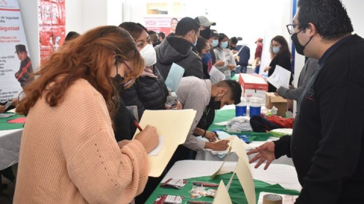 ¿Sin trabajo? Este 26 de mayo habrá Feria del Empleo en Tláhuac