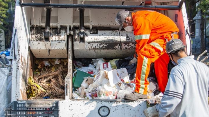 ¿Cuál es la manera correcta de separar la basura en CDMX?