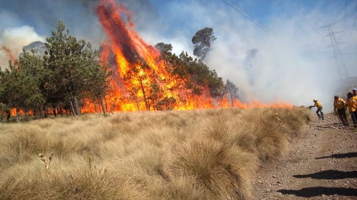 ¿Qué hacer en caso de detectar un incendio forestal en CDMX?