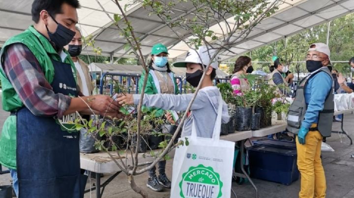 ¡A reciclar! Mercado del Trueque CDMX llegará a la Roma Norte este 8 de mayo
