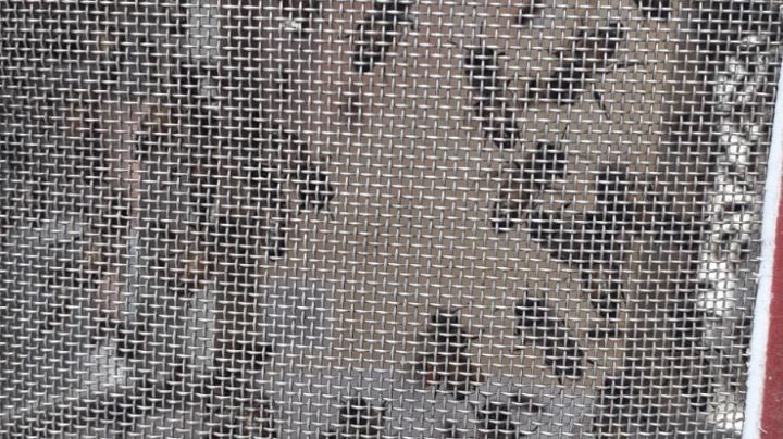 VIDEO retiran enjambre de abejas en la estación Taxqueña del Metro en CDMX