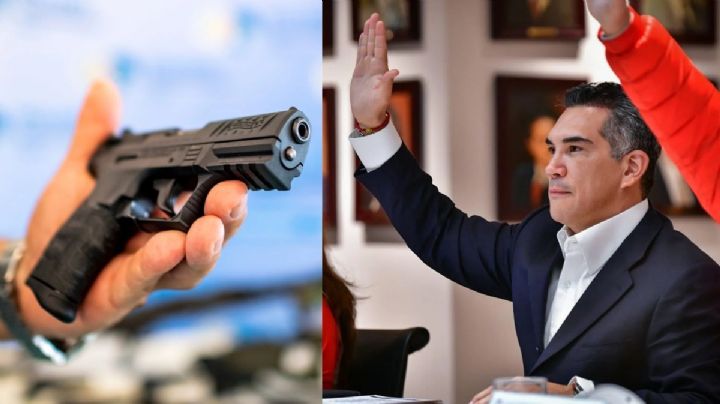 Presidente del PRI propone que familias tengan armas en casa