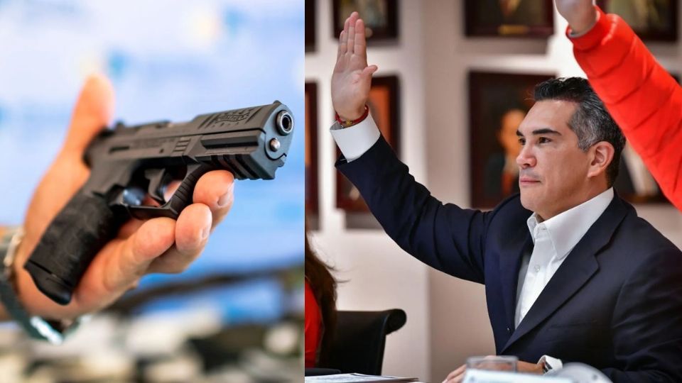 Presidente del PRI propone que familias tengan armas en casa. Foto: Especial
