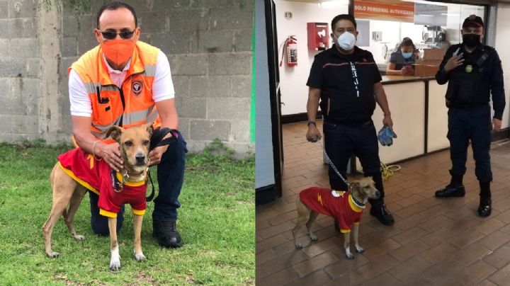 Rescatan a perro "Flash" en la estación Tacuba del Metro CDMX