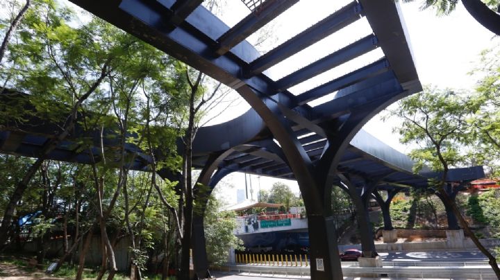 FOTOS Así va la construcción del puente de Los Pinos en Chapultepec