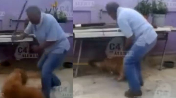 VIDEO Hombre amarra y golpea fuertemente a su perro en Iztapalapa