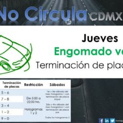 Este jueves 19 de enero estas placas no circulan