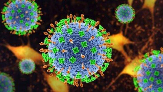 Encienden Alerta por Nipah, un virus de alta mortalidad