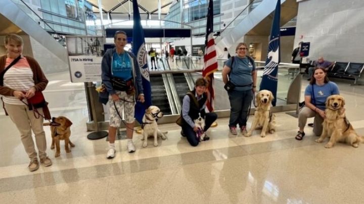 Entrenan perros guía en el aeropuerto de Detroit, EU