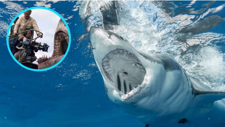 ¡Como en la película! Tres jóvenes fueron atacados por tiburones en Brasil