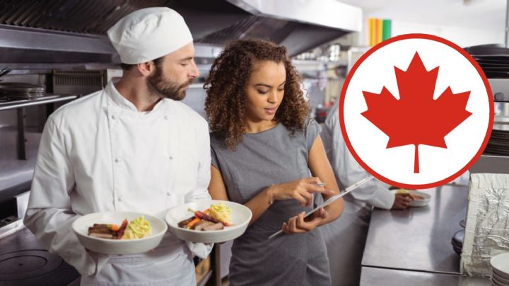 Trabaja en Canadá: Ofrecen 47 mil pesos como gerente de alimentos y bebidas