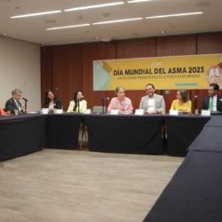 Desde el Senado llaman a fortalecer acciones para asegurar tratamiento contra el asma