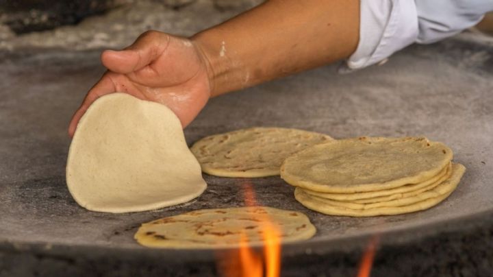 ¿Qué son las tortillas orgánicas y dónde las venden?