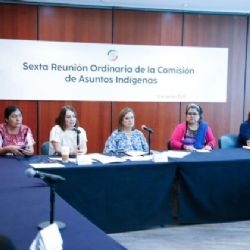 El Senado se compromete a defender los derechos de los pueblos indígenas