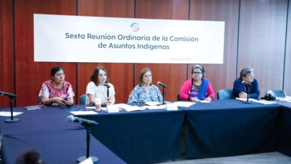 Hay mucho por hacer para combatir la discriminación y la pobreza que enfrentan estas comunidades, coinciden integrantes de Comisión de Asuntos Indígenas
