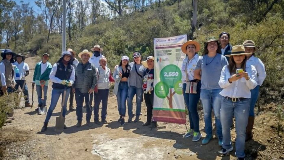 Se plantaron 2 mil 550 especies de piñón, con lo que se beneficiarán 9 municipios y 39 mil 591 hidalguenses, así como conservar este importante nombramiento de la UNESCO que distingue a la entidad hidalguense a nivel mundial
