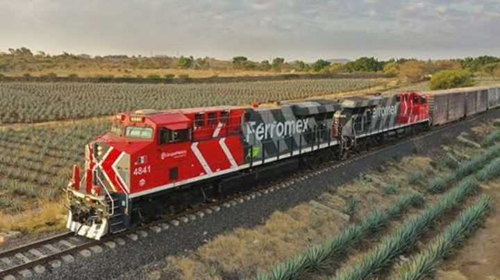 Ferromex frena trenes por crisis migrante; argumenta integridad física de los viajantes ilegales